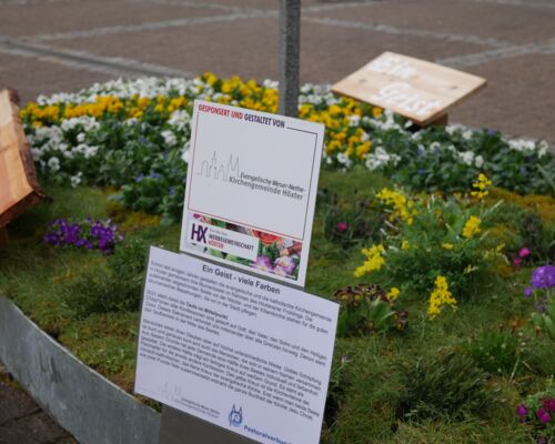 Das Bild zeigt eine Seitenansicht des Blumenbeetes mit der Hinweistafel zum Höxteraner Frühling und einem Beschreibungstext.